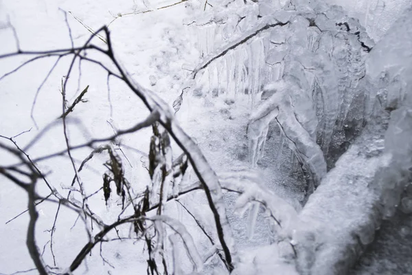 Κατεψυγμένο Κλαδί Παγοκρυστάλλους Κατά Διάρκεια Του Ψυχρού Χειμώνα — Φωτογραφία Αρχείου