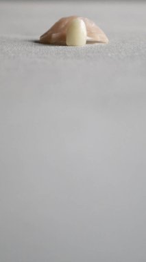 Bir takma diş. Arka planda diş protezleri var. Takma diş. Diş hekimliği. Protez dişler. Diş plakası. Yapay dişler. Boşluk yok. Metin için alanı kopyala. 