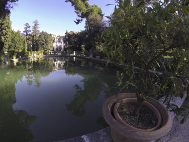 İtalya, Tivoli 'deki Villa D' este 'de bulunan Fontane del Nettuno e dell' Organo. Neptün Çeşmesi, Villa d 'Este, Tivoli, İtalya' nın simgesel simgesi..