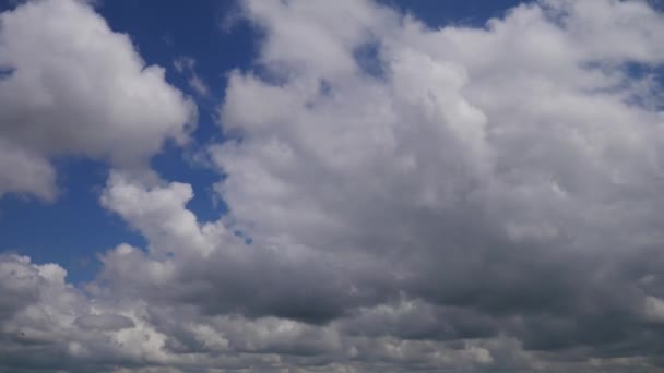 Witte Gezwollen Wolken Gaan Door Lucht — Stockvideo