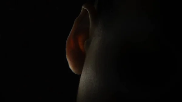 Das Menschliche Ohr Dunkeln — Stockfoto