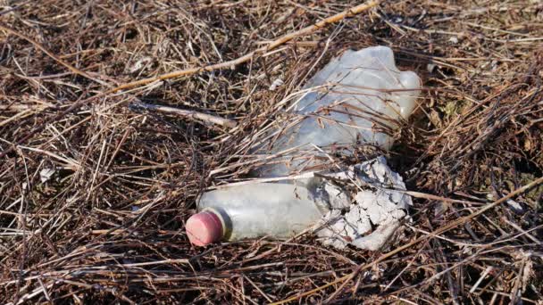 Botella Plástico Tirado Naturaleza Cerca Contaminación Ambiental — Vídeo de stock