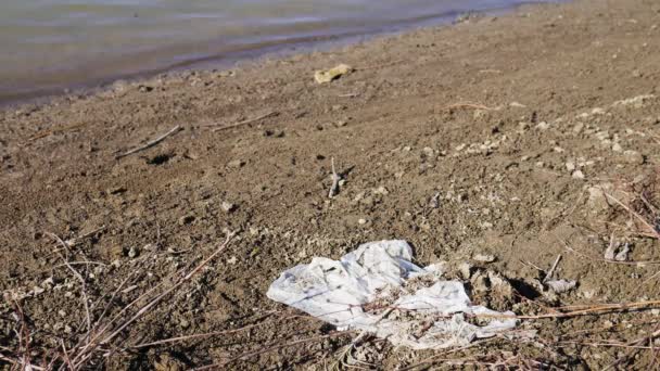 Nehir Kıyısında Plastik Torba — Stok video