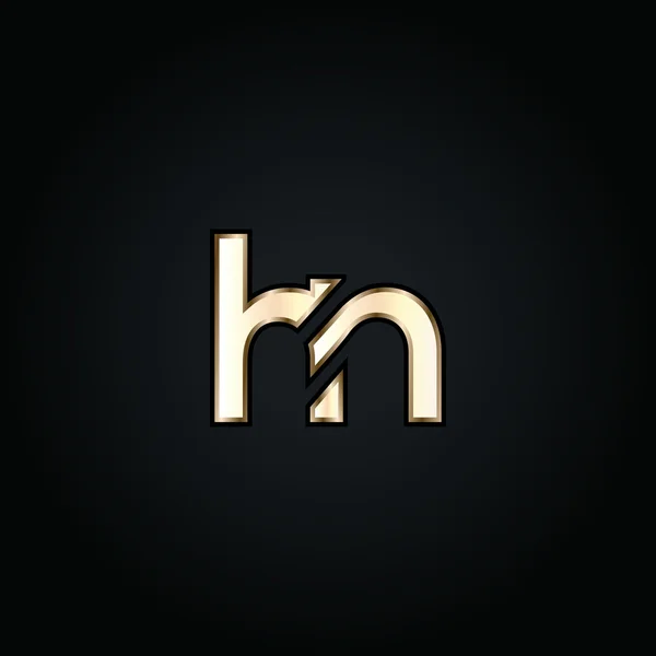 Logo lettere H e N — Vettoriale Stock