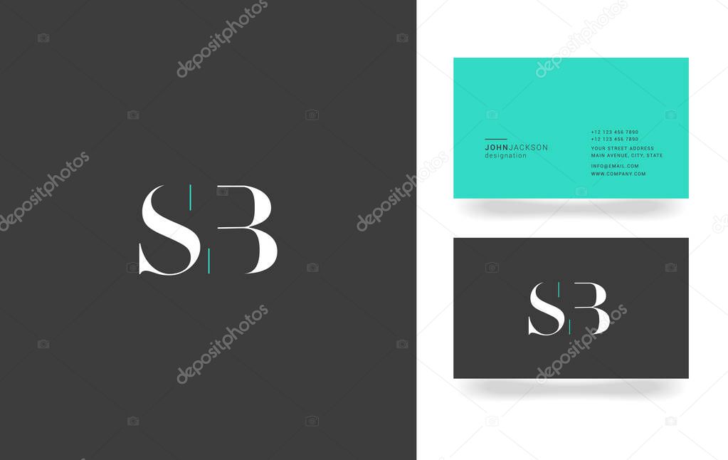 S & B Letter Logo, with Business Card Template Vector illustration, corporate identity