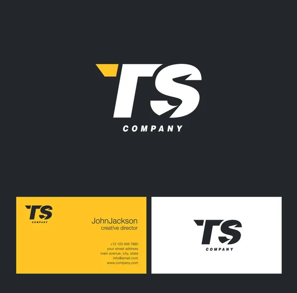 T & S logotipo da carta — Vetor de Stock