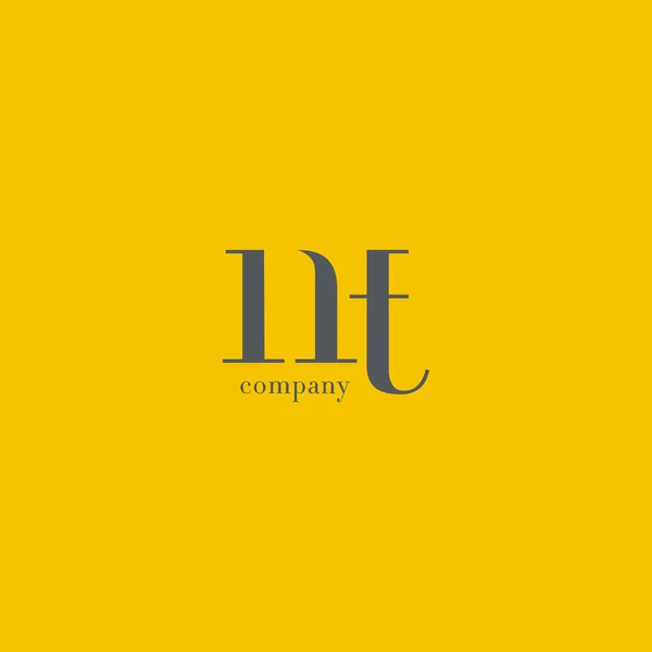 N & T Letter Company Logo — Stock Vector