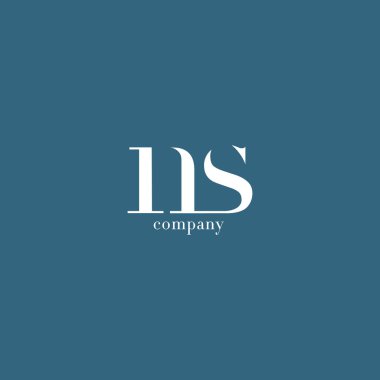 N ve S harfi şirket logosu 