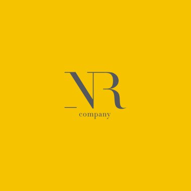 N ve R harfi şirket logosu 