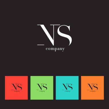 N ve S harfi şirket logosu 
