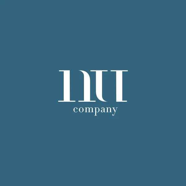 N ve U harfi şirket logosu — Stok Vektör