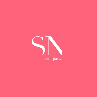S ve N harfi şirket logosu 