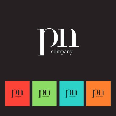 P ve N harfi şirket logosu 