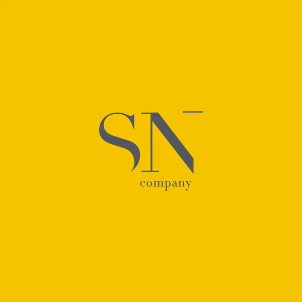 S & N Carta logotipo da empresa — Vetor de Stock