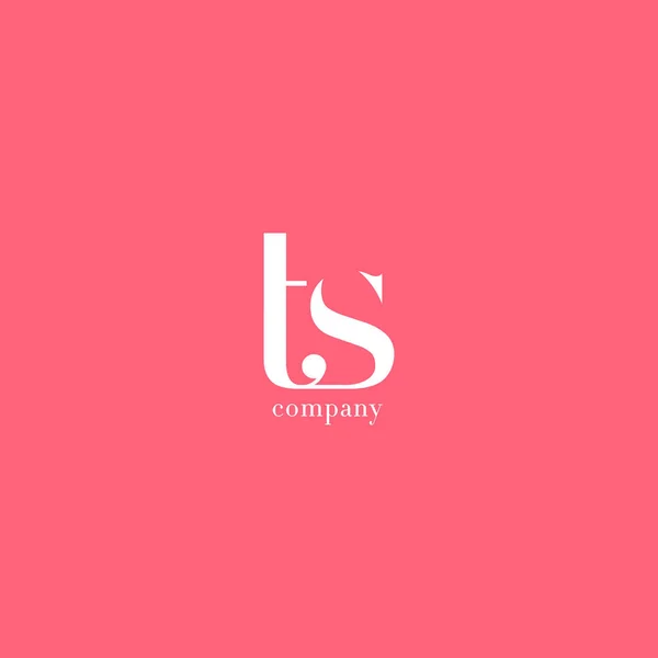 T ・ S 文字の会社のロゴ — ストックベクタ