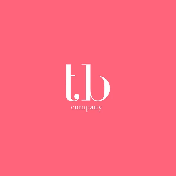T & B Letter Company Logo — Stock Vector