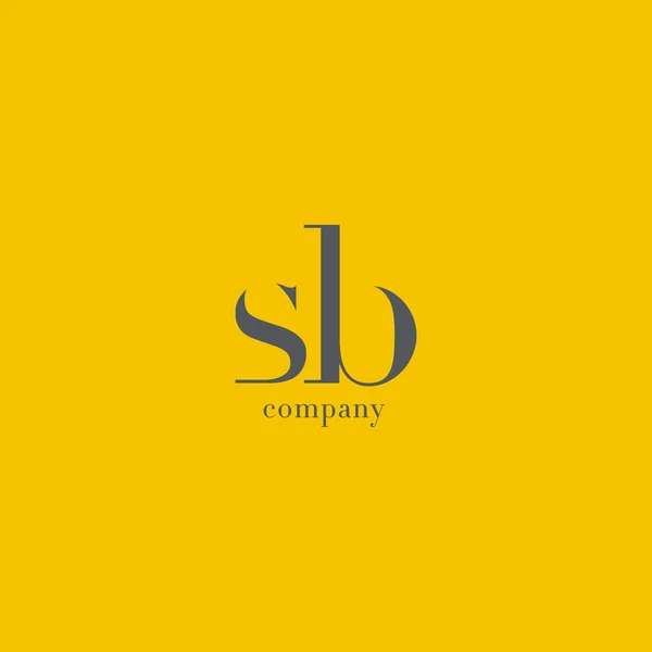 Logo aziendale S & B Letter — Vettoriale Stock