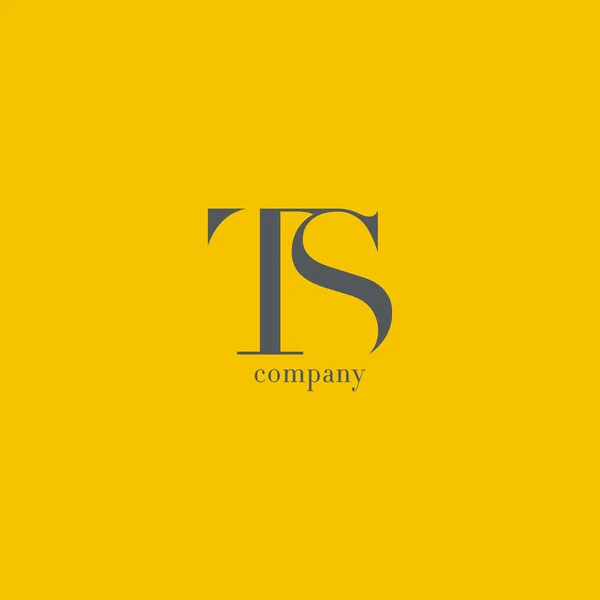 T & S Letter Company Logo — Stock Vector