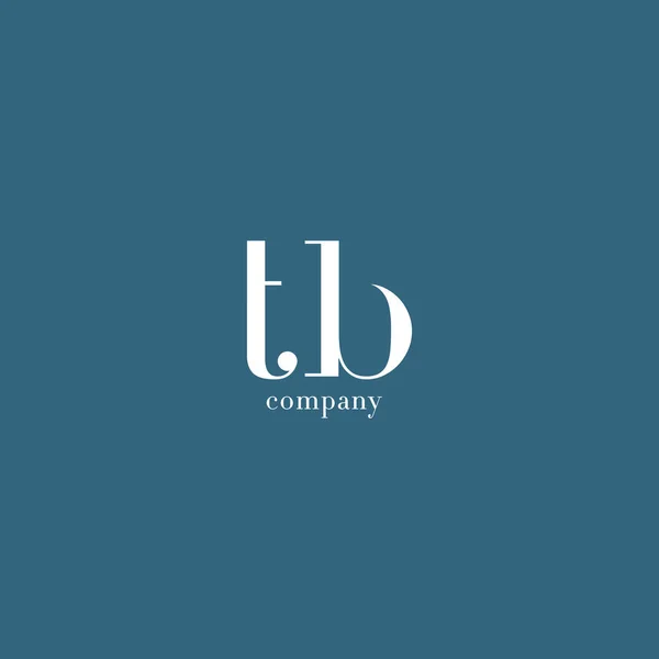 T & B Letter Company Logo — Stock Vector