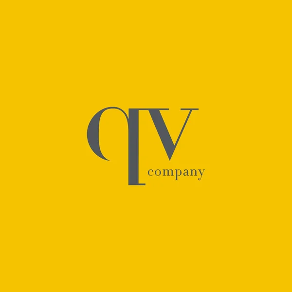 Q & V Carta logotipo da empresa — Vetor de Stock