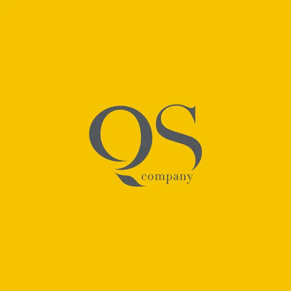 Q & S dopis firemní Logo — Stockový vektor