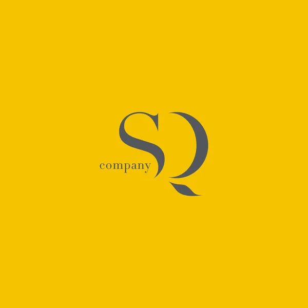 S & Q Letter Company Logo — Stock Vector