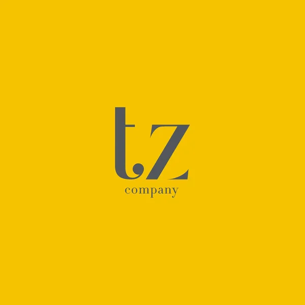 T ve Z harfi şirket logosu — Stok Vektör