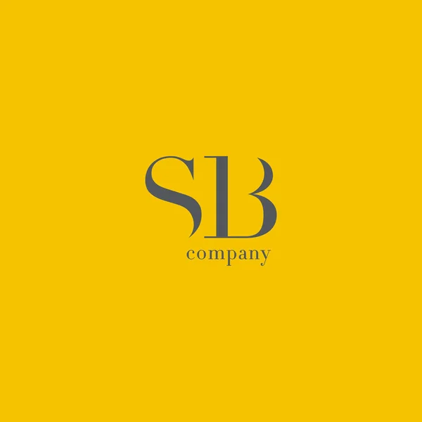 Logotipo de la empresa Carta S & B — Vector de stock