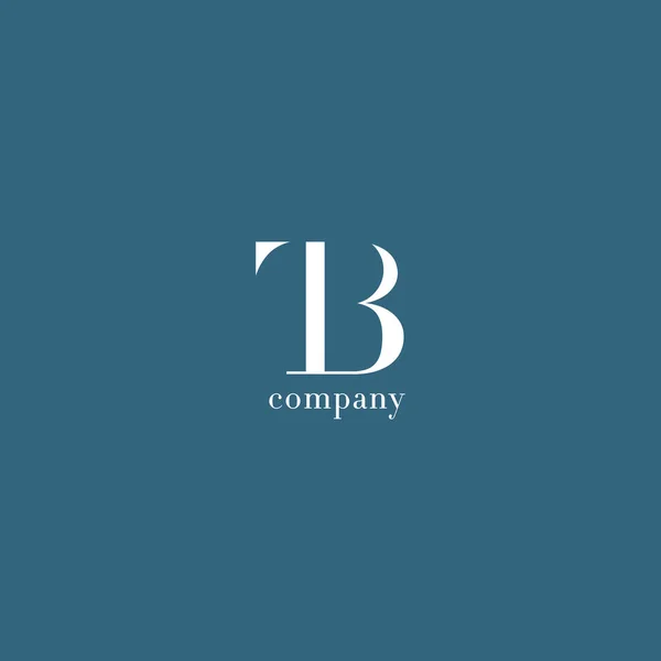 T & λογότυπο εταιρείας γράμμα B — Διανυσματικό Αρχείο