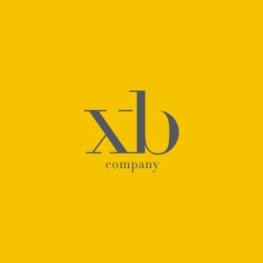 X ve B harfi şirket logosu 