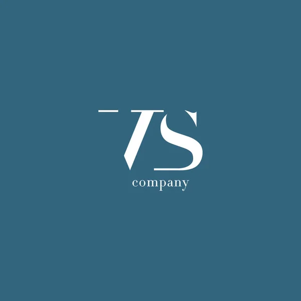 Logo aziendale V & S Letter — Vettoriale Stock