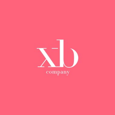 X ve B harfi şirket logosu 