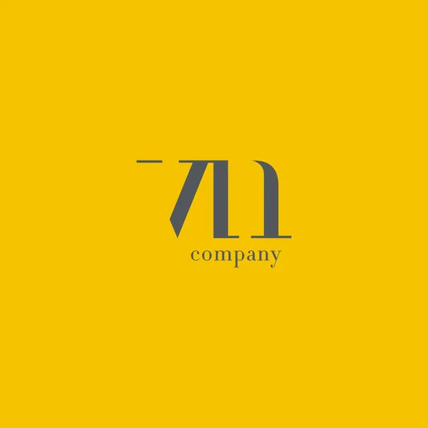 V & N Letter Company Logo — Stock Vector