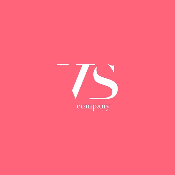 V & S Letra Compañía Logo — Archivo Imágenes Vectoriales