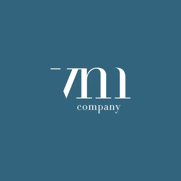Logo aziendale V & M Letter — Vettoriale Stock