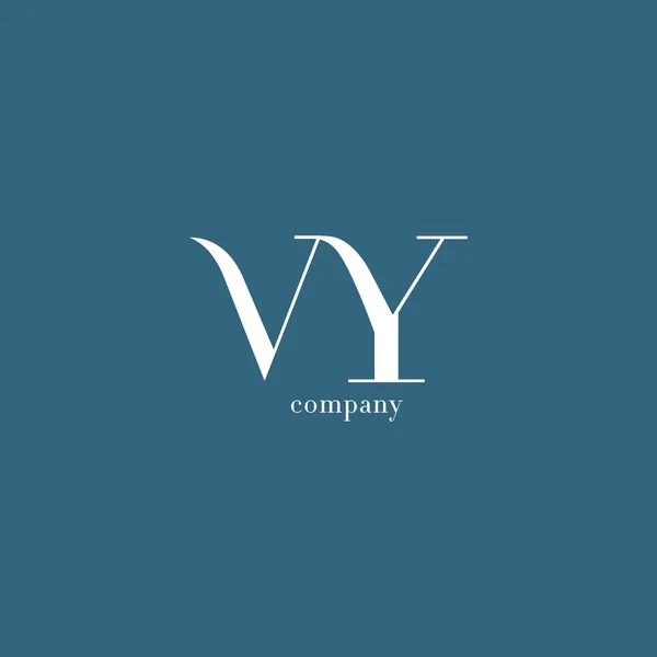 V & Logo společnosti písmeno Y — Stockový vektor