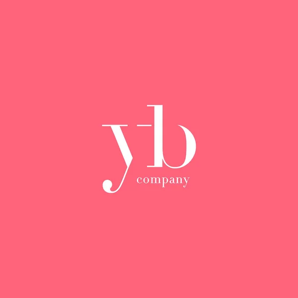 Y ・ B 文字会社のロゴ — ストックベクタ