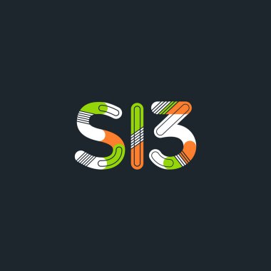 harf ve rakam S13 logosu