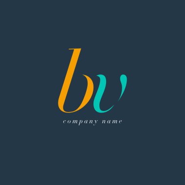 BV harf Logo şablonu