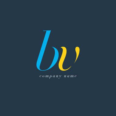 BV harf Logo şablonu