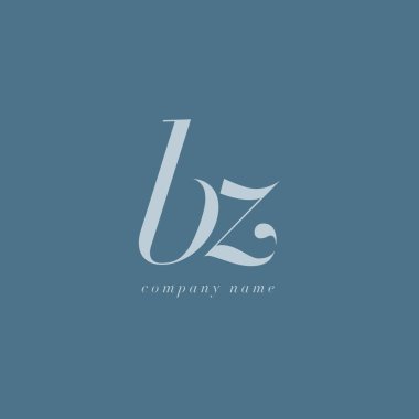 BZ harf Logo şablonu
