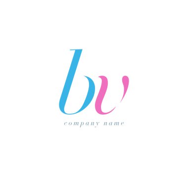 BV harf Logo şablonu