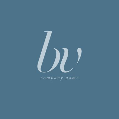 BV harf Logo şablonu