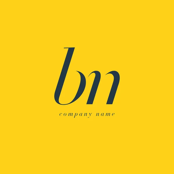Modèle de logo de lettres BN — Image vectorielle