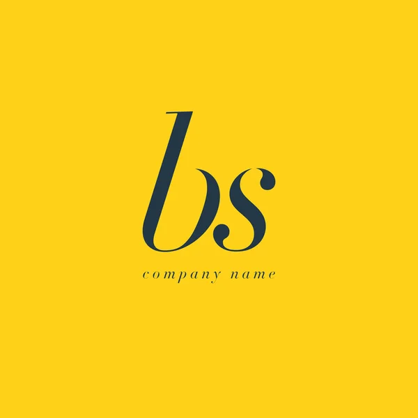 BS Letters Logo plantilla — Vector de stock