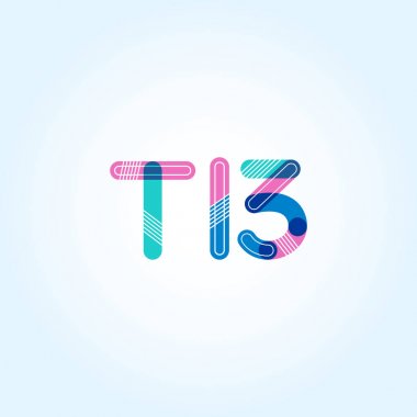 harf ve rakam T13 logosu