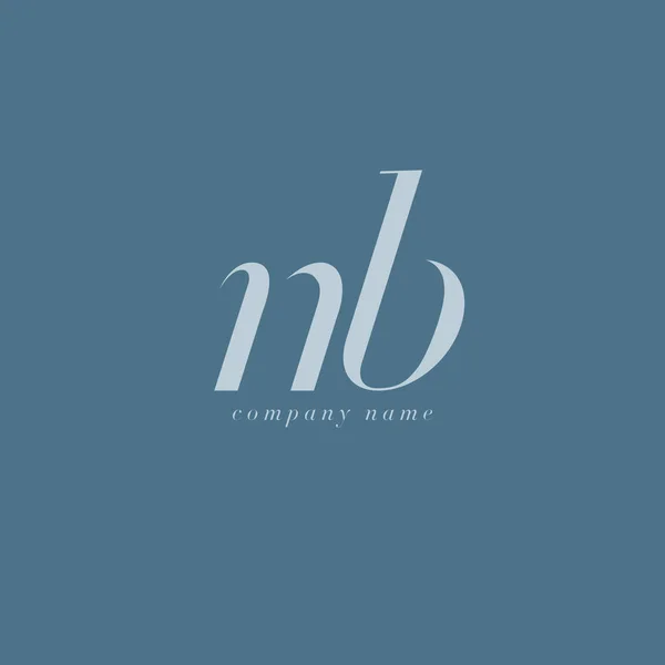 NB bokstäver logotyp mall — Stock vektor