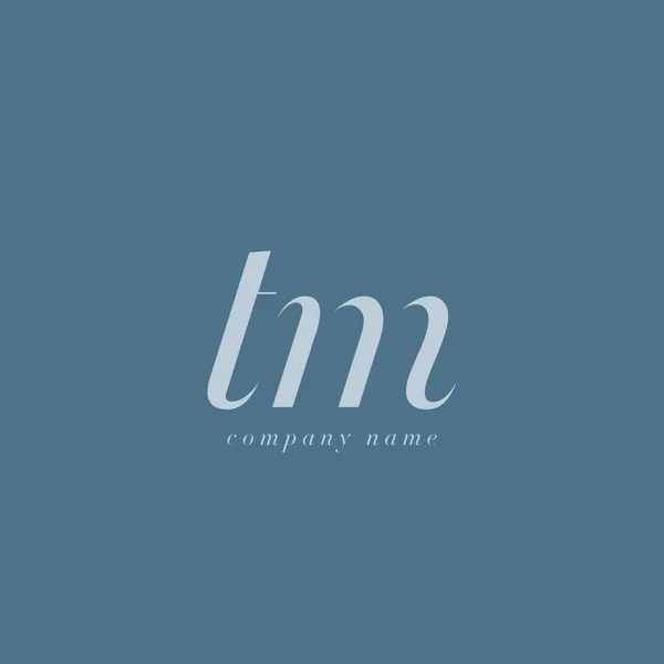 TM Lettere modello logo — Vettoriale Stock