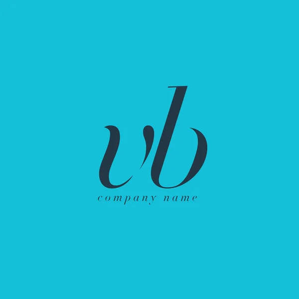 VB bokstäver logotyp mall — Stock vektor