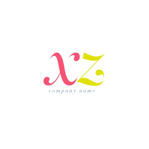 Modèle de logo de lettres XZ — Image vectorielle